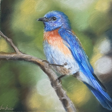 Load image into Gallery viewer, Limited Edition Print: Bluebird
