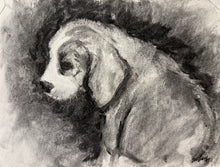 Load image into Gallery viewer, Custom Charcoal Portrait
