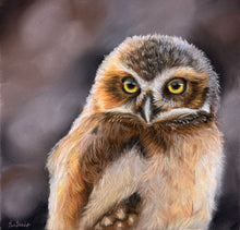 Load image into Gallery viewer, Join the Pastels Print Club!
