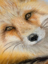 Load image into Gallery viewer, Limited Edition Print: Quiet Fox in the Snow (preorder)
