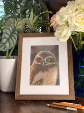 Load image into Gallery viewer, Join the Pastels Print Club!
