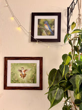 Load image into Gallery viewer, In the Garden

