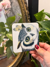 Load image into Gallery viewer, Coasters
