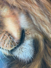 Load image into Gallery viewer, Kings' Devotion
