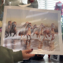 Load image into Gallery viewer, Limited Edition Print: Golden Hour
