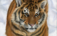 Load image into Gallery viewer, Catwalk
