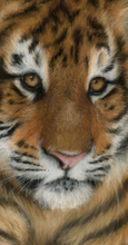 Load image into Gallery viewer, Catwalk
