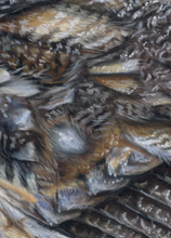 Load image into Gallery viewer, Join the Pastels and Paintings Print Club!
