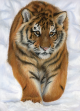Load image into Gallery viewer, Limited Edition Print: Cat-Walk
