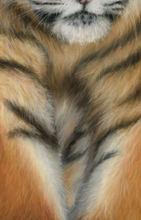 Load image into Gallery viewer, Catwalk
