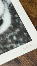 Load and play video in Gallery viewer, Limited Edition Print: William the Owl
